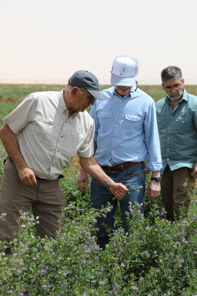 the FGM International team of experts on field in the Benghazi area, in Libya, inspecting locations for the development of the irrigation of the area